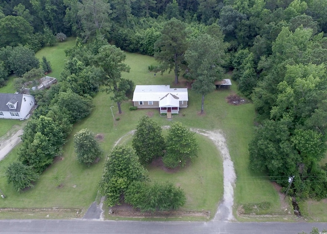 667 Jungle Rd, Conway, SC 29526 - photo 2