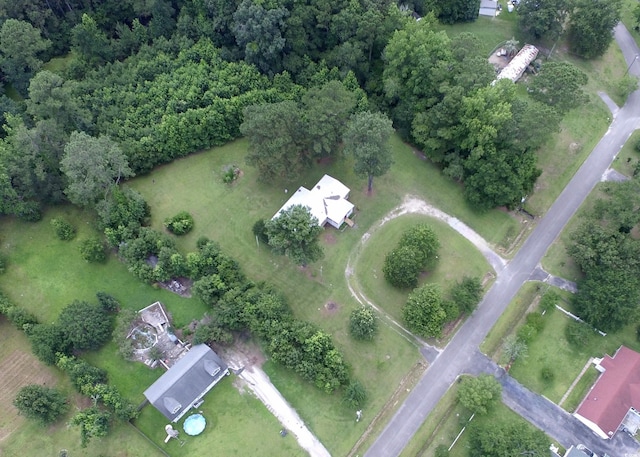 667 Jungle Rd, Conway, SC 29526 - photo 3
