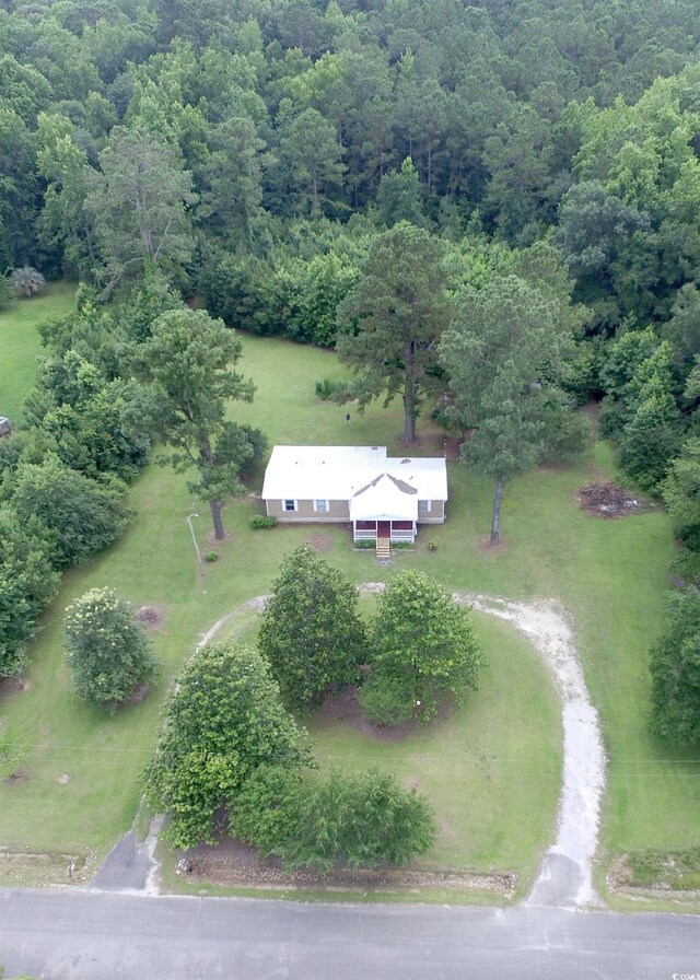 667 Jungle Rd, Conway, SC 29526 - photo 4