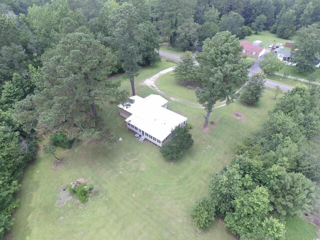 667 Jungle Rd, Conway, SC 29526 - photo 5