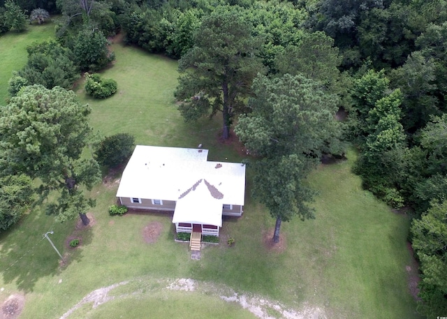667 Jungle Rd, Conway, SC 29526 - photo 6