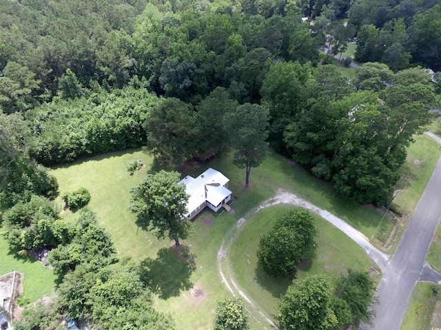 667 Jungle Rd, Conway, SC 29526 - photo 12