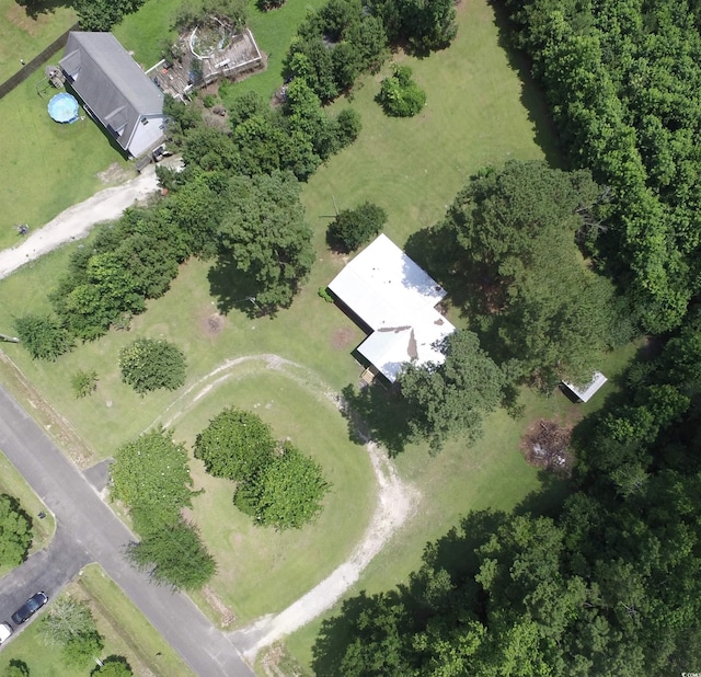 667 Jungle Rd, Conway, SC 29526 - photo 14