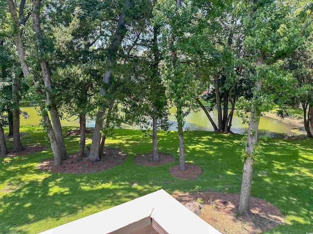145 Hartland Dr Unit 4-E, Myrtle Beach, SC 29572 - view of green lawn