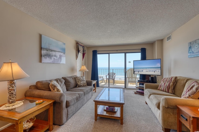 912 N Waccamaw Dr Unit 202, Garden City Beach, SC 29576 - photo 3