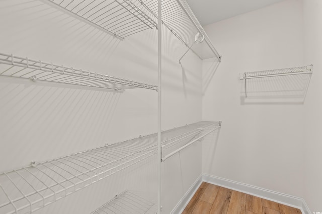 1718 26th Ave N, North Myrtle Beach, SC 29582 - walk in closet with light wood finished floors