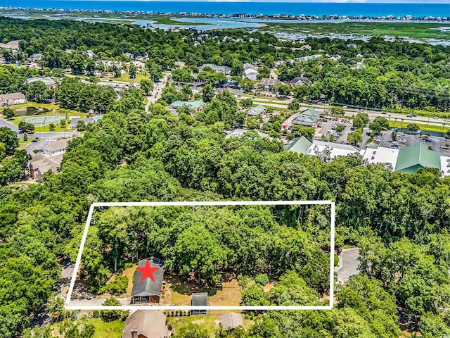 823 Bellamy Ave, Murrells Inlet, SC 29576 - photo 8