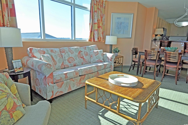 3500 N Ocean Blvd Unit 701-702, North Myrtle Beach, SC 29582 - living area featuring carpet floors