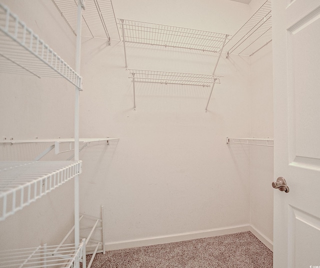 1409 Ashwood Cir, Surfside Beach, SC 29575 - spacious closet featuring light carpet