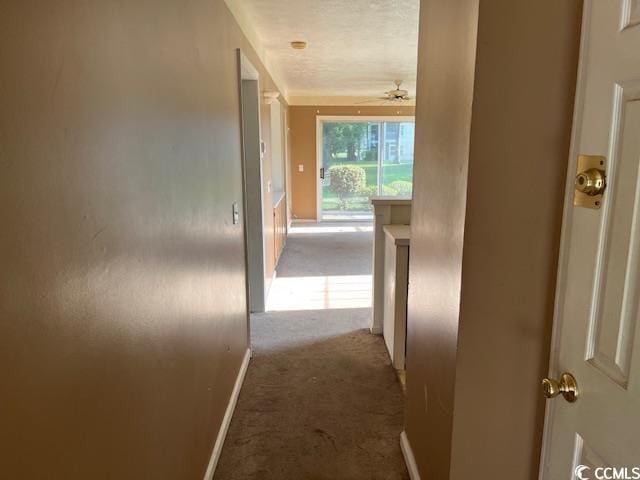 505 White River Dr Unit 25C, Myrtle Beach, SC 29579 - hallway featuring carpet
