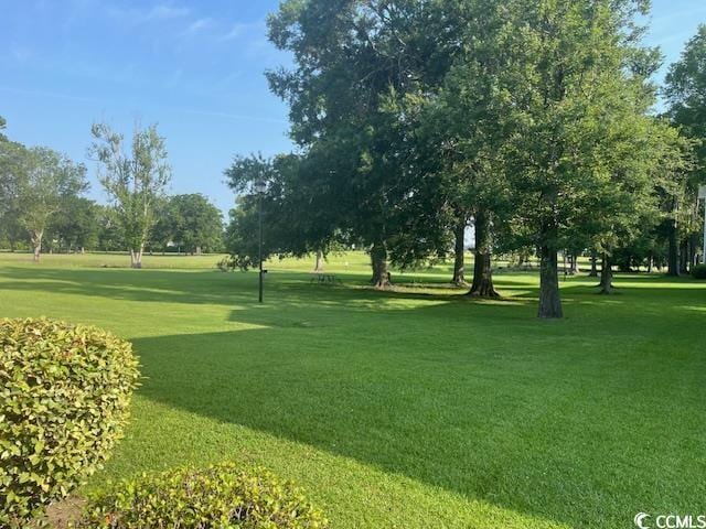 505 White River Dr Unit 25C, Myrtle Beach, SC 29579 - view of community featuring a yard