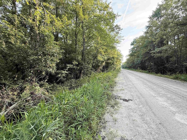 TBD Wolf Pit Bay Rd, Nichols, SC 29581 - photo 1