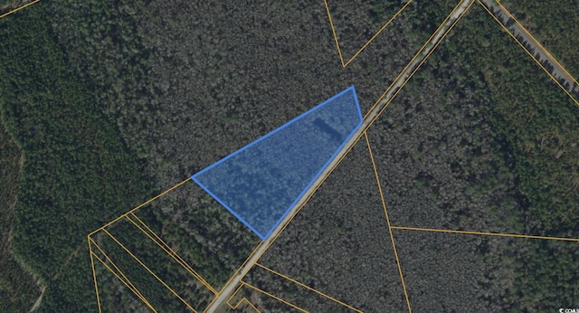 TBD Wolf Pit Bay Rd, Nichols, SC 29581 - photo 6