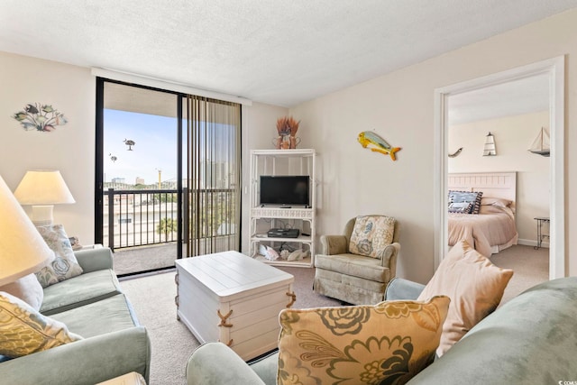 601 Mitchell Dr # 607, Myrtle Beach, SC 29577 - carpeted living area featuring a textured ceiling