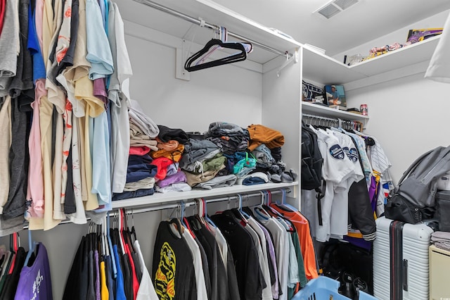241 Fannie B Rd, Conway, SC 29526 - view of spacious closet