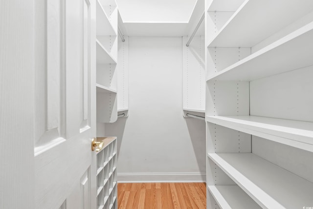 670 2nd Ave N, North Myrtle Beach, SC 29582 - walk in closet featuring light wood-style flooring