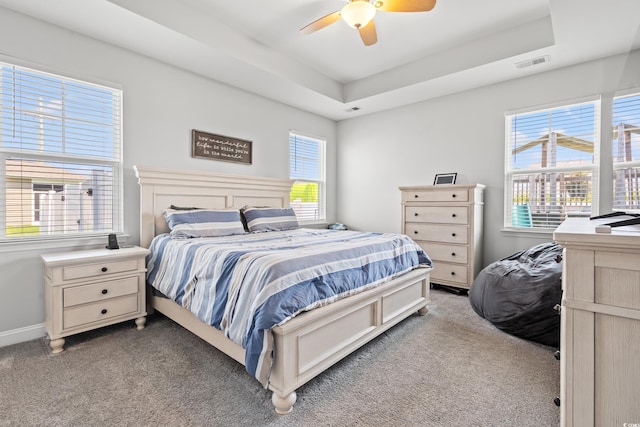 405 Spring View Ct, Little River, SC 29566 - bedroom with light colored carpet, multiple windows, and a raised ceiling