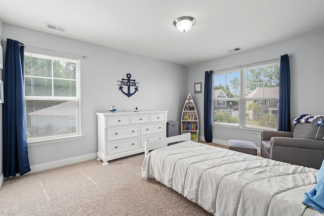 405 Spring View Ct, Little River, SC 29566 - bedroom featuring multiple windows and light carpet
