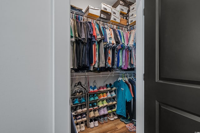 1253 Kenworth Cir, Conway, SC 29526 - spacious closet with wood finished floors