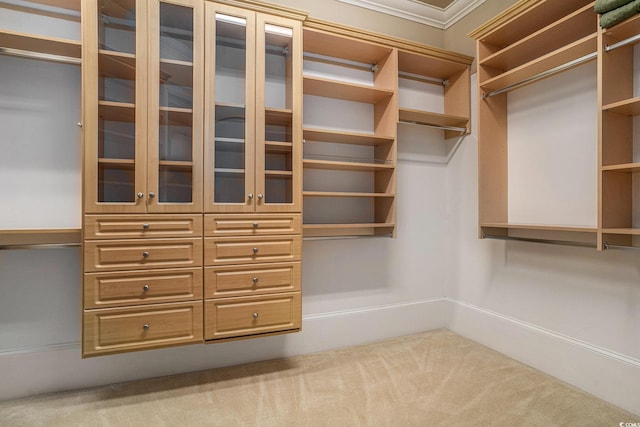 1503 Cadiz Dr, Myrtle Beach, SC 29579 - spacious closet with carpet