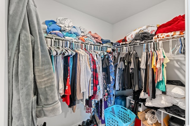 821 Twickenham Loop, Longs, SC 29568 - view of walk in closet