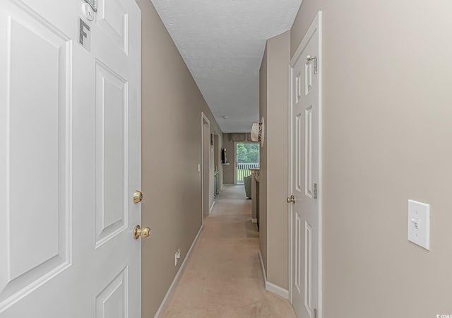 650 Tupelo Ln Unit 5-F, Longs, SC 29568 - photo 29