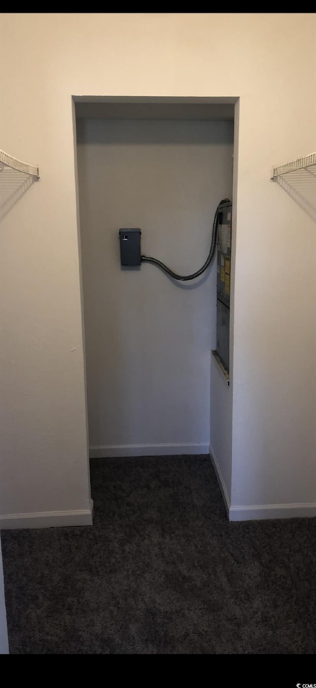 1101 2nd Ave N Unit 306, Surfside Beach, SC 29575 - spacious closet with carpet