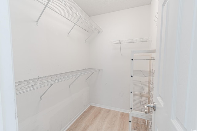 805 Cherry Bark Ct, Myrtle Beach, SC 29579 - walk in closet with light wood-type flooring
