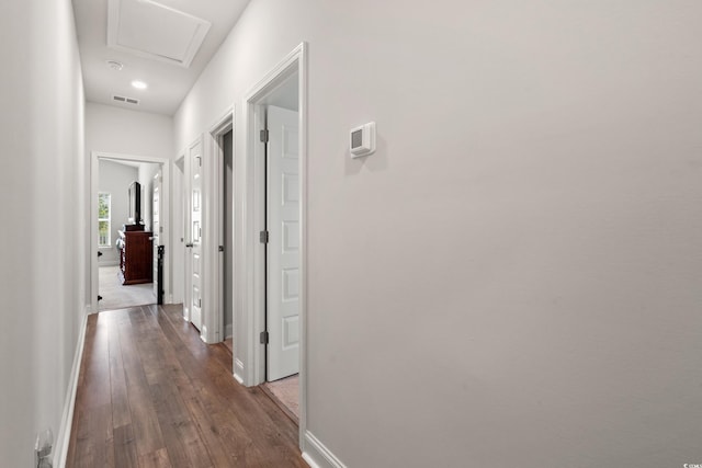 892 Harrison Mill St, Myrtle Beach, SC 29579 - hall with dark wood-type flooring and baseboards