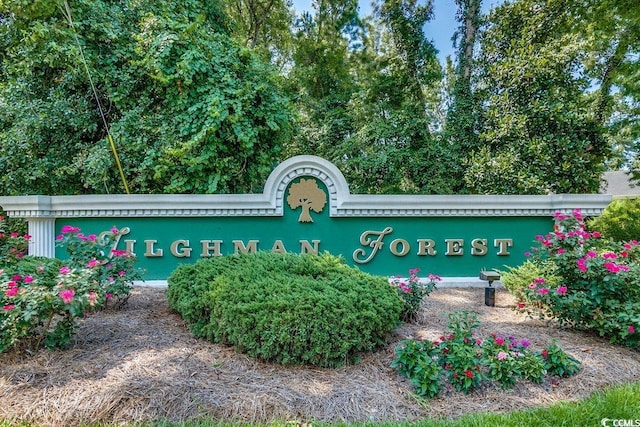 911 Tilghman Forest Dr, North Myrtle Beach, SC 29582 - view of community sign