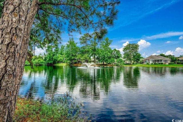 911 Tilghman Forest Dr, North Myrtle Beach, SC 29582 - water view