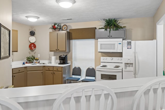 2783 Sanctuary Blvd, Conway, SC 29526 - kitchen with white appliances, light countertops, and a textured ceiling