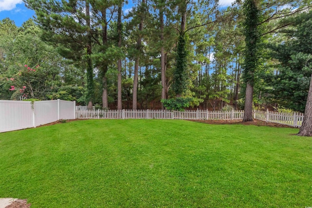422 Blackberry Ln, Myrtle Beach, SC 29579 - photo 25