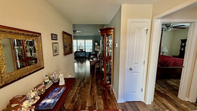 1300 Ruddy Ct, Conway, SC 29527 - hallway featuring dark wood-style flooring