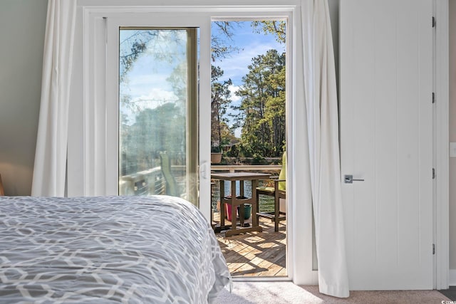 6624 Lagoon Pl, Myrtle Beach, SC 29572 - carpeted bedroom with access to outside