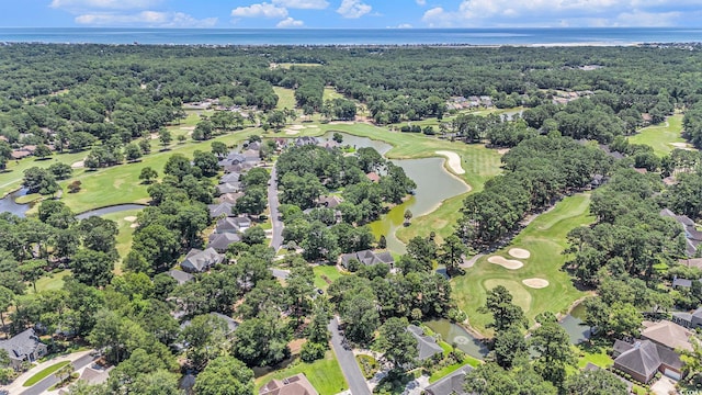 90 Old Carriage Ln, Pawleys Island, SC 29585 - photo 35