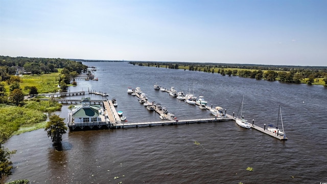81 Prestwick Dr, Pawleys Island, SC 29585 - photo 40