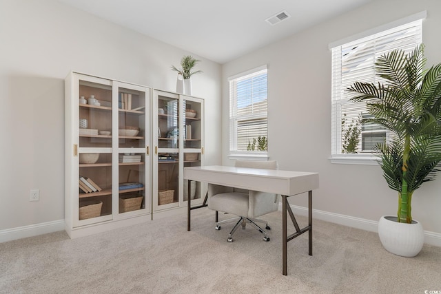 197 Bantry Ln, Conway, SC 29526 - office space with carpet flooring