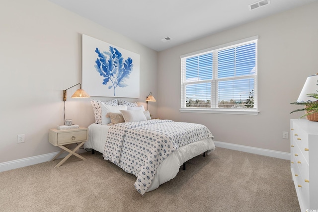 197 Bantry Ln, Conway, SC 29526 - bedroom featuring carpet flooring