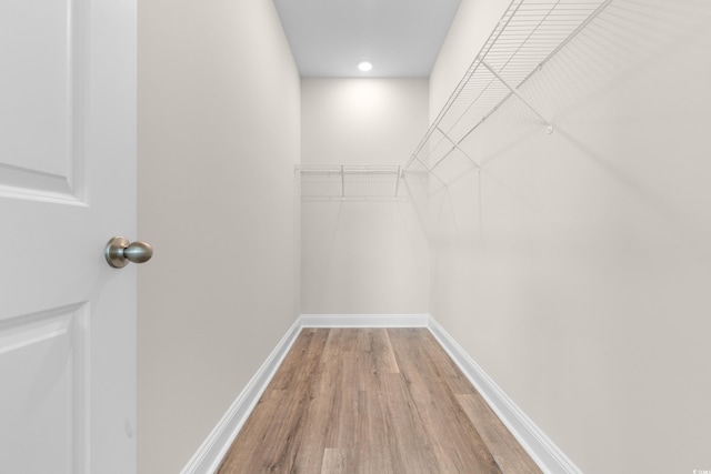 197 Bantry Ln, Conway, SC 29526 - walk in closet with light wood-style flooring