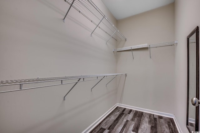 365 Lenox Dr, Conway, SC 29526 - walk in closet featuring dark wood finished floors