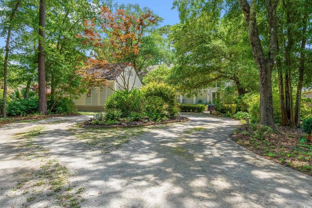89 Cameron Ct, Pawleys Island, SC 29585 - photo 4