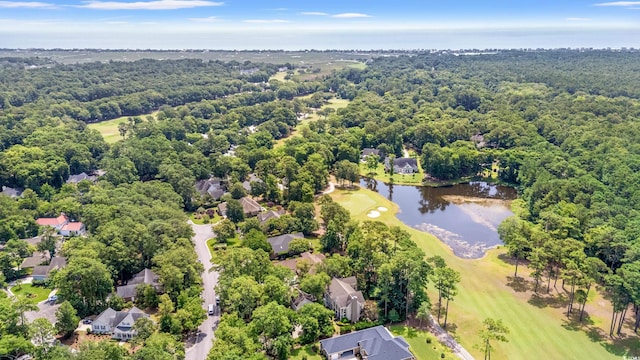 89 Cameron Ct, Pawleys Island, SC 29585 - photo 39
