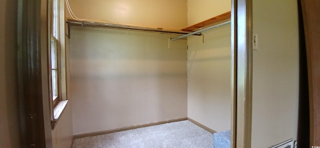 1206 French Rd, Mullins, SC 29574 - spacious closet featuring carpet floors