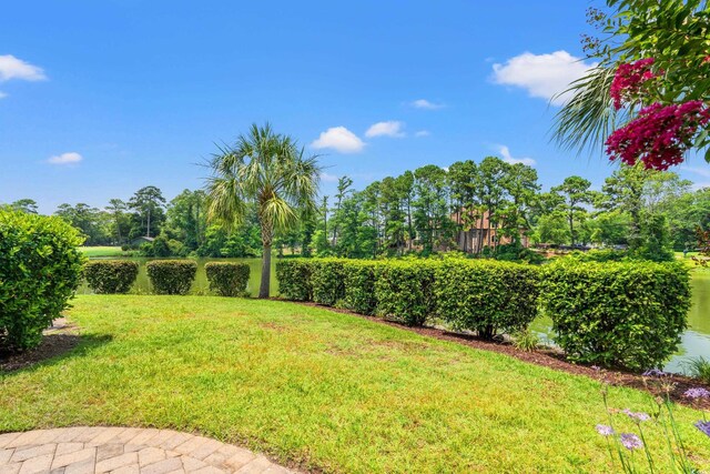 1907 Enclave Ln Unit 1907, North Myrtle Beach, SC 29582 - photo 30