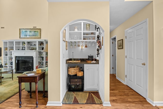 509 June Bug Ct, Myrtle Beach, SC 29588 - indoor dry bar featuring wood finished floors and a fireplace