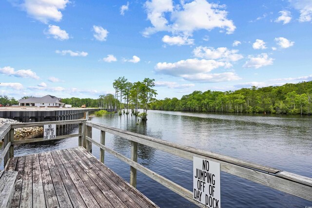 509 June Bug Ct, Myrtle Beach, SC 29588 - dock featuring a water view