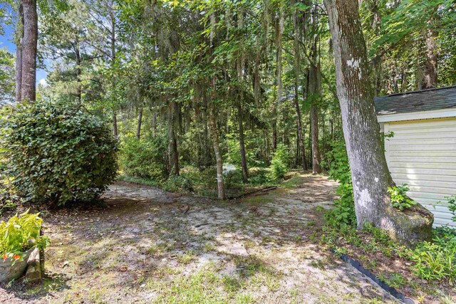 509 June Bug Ct, Myrtle Beach, SC 29588 - view of yard