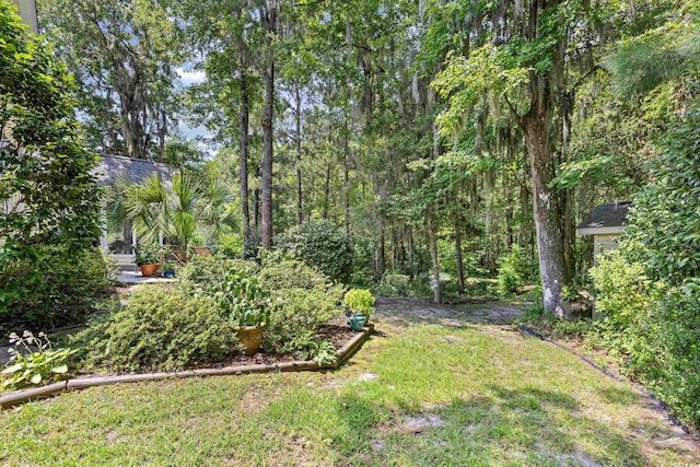 509 June Bug Ct, Myrtle Beach, SC 29588 - view of green lawn