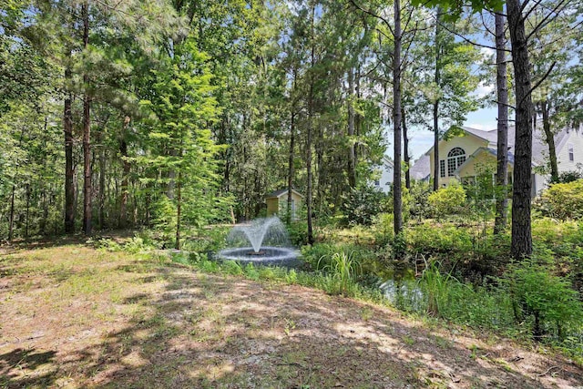 509 June Bug Ct, Myrtle Beach, SC 29588 - view of yard